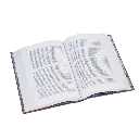 en-la-dictadura-de-primo-de-rivera-vol-8-2-libro-abierto.webp